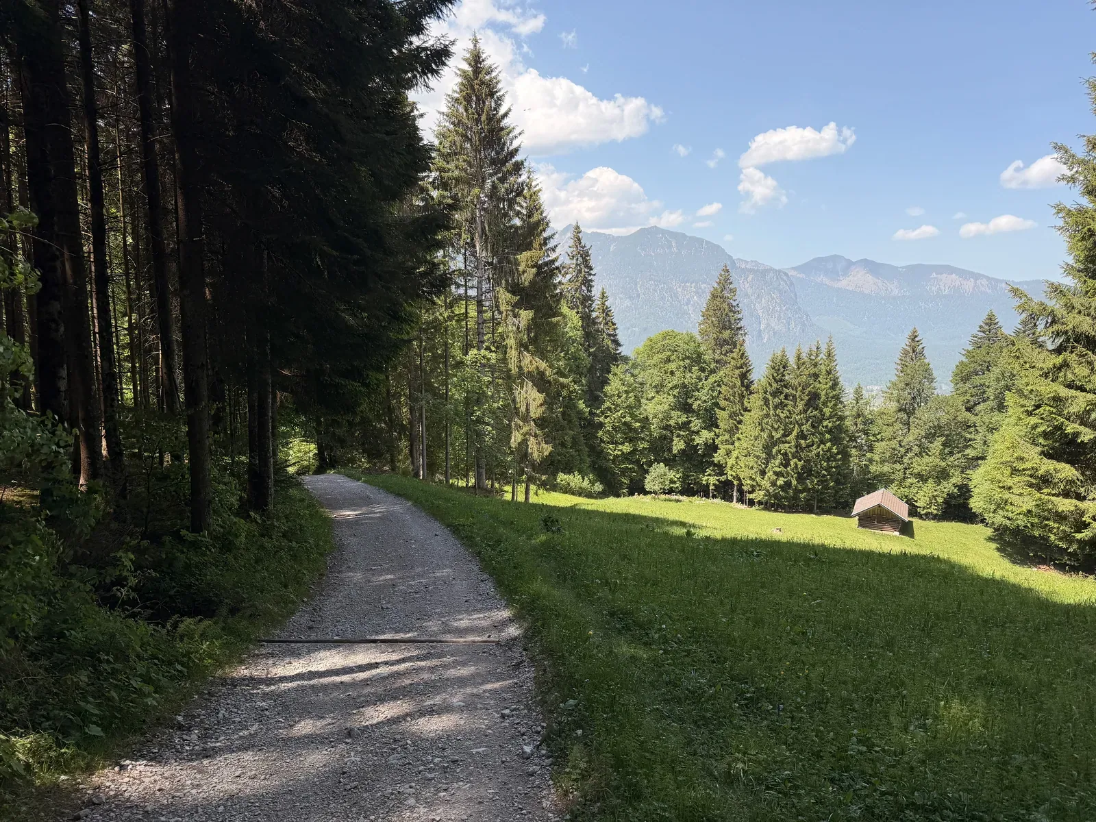 Wide forest and meadow road on the final kilometres back to Garmisch-Partenkirchen, ZUT 107K at KM 101.7.