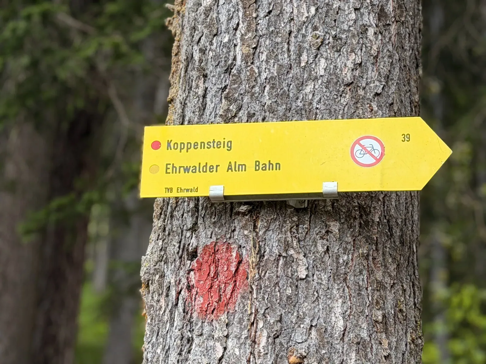 Yellow signpost on the Koppensteig toward Ehrwalder Alm, Zugspitz Ultratrail 107K at KM 20.8.
