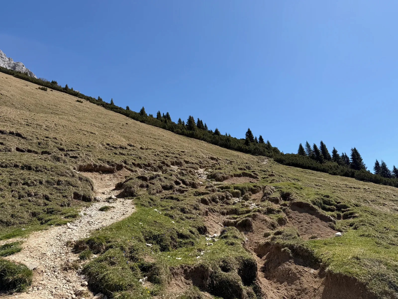 Narrow pasture path toward Gatterl pass, Zugspitz Ultratrail 107K at KM 28.6.
