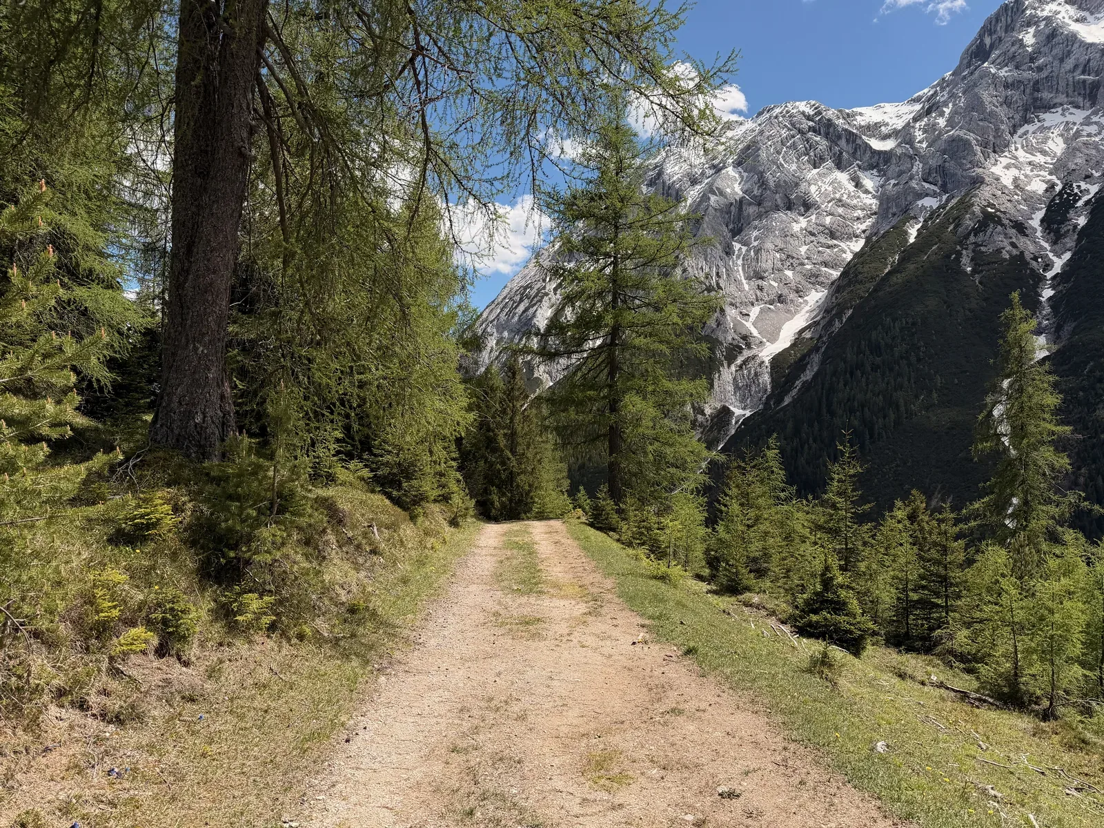 Wide forest road in the valley with views back to the Wetterstein rock walls, ZUT 107K at KM 39.5.
