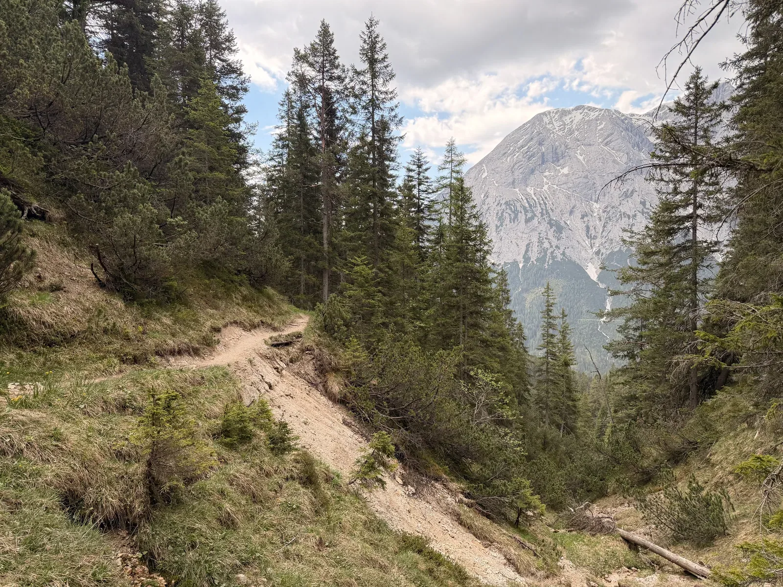 Narrow hillside trail in the forest with valley views, ZUT 107K at KM 42.9.