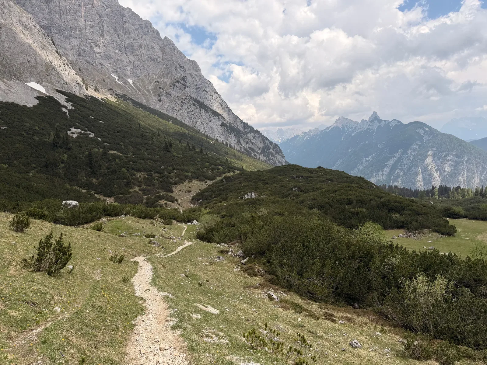 Descent on narrow trail through dwarf pines with valley views, ZUT 107K at KM 48.6.