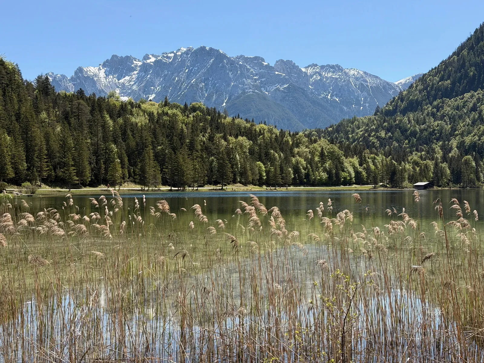 Lakeside path with reeds and surrounding peak views, ZUT 107K at KM 68.3.