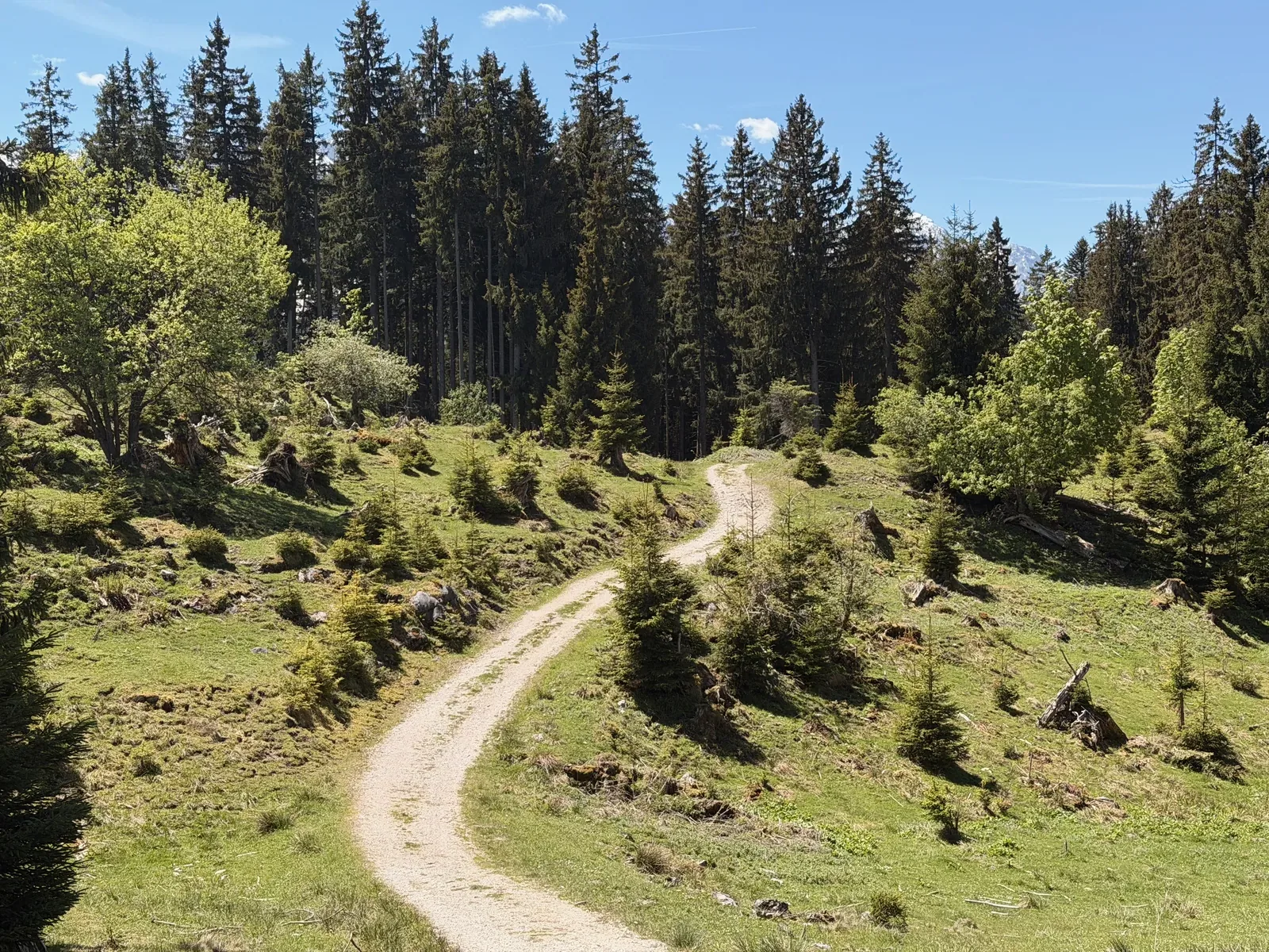 Wide gravel road through open alpine pasture, good for settling into rhythm, ZUT 107K at KM 75.5.
