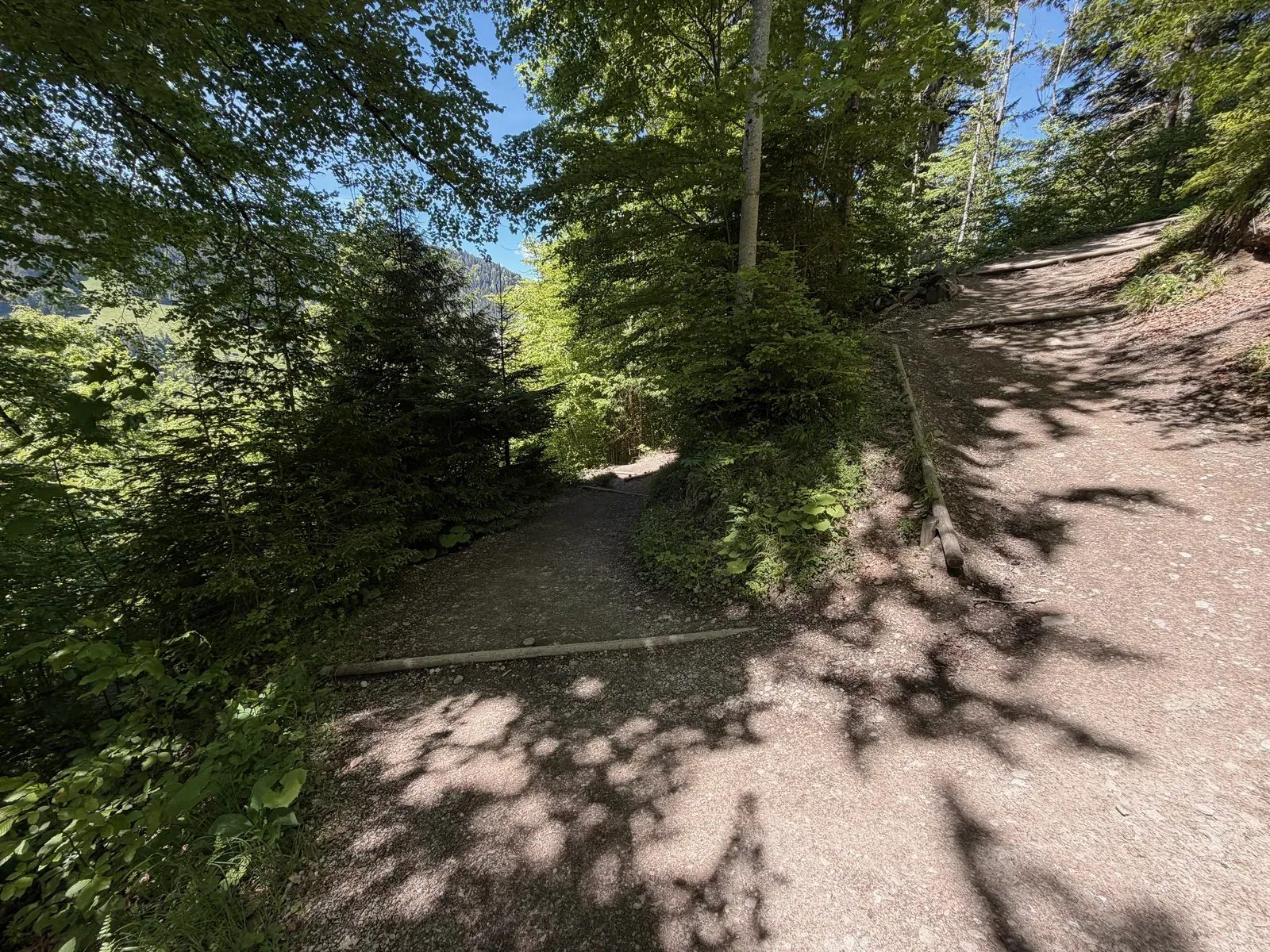 Shaded forest road with firm ground in the later course section, ZUT 107K at KM 80.4.