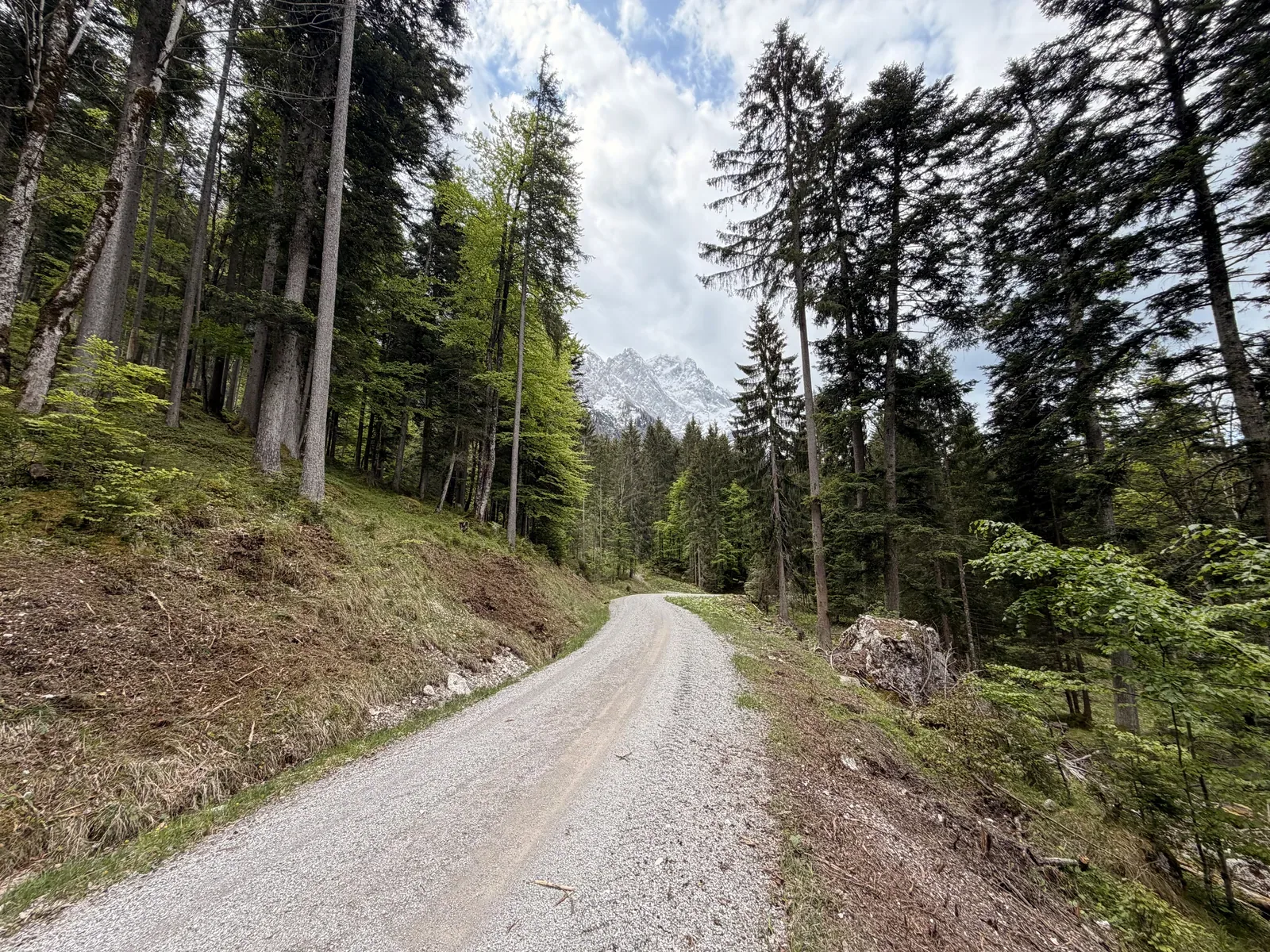 Wide gravel road in forest with gentle descent and mountain views, ZUT 107K at KM 9.9.